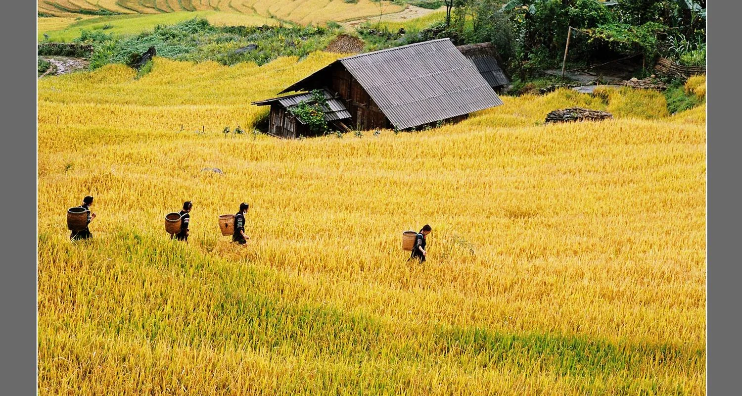 Explore 7 Days Vietnam Must See Holiday for 7 days with Indochina Today Travel and discover unforgettable experiences - Photo 2