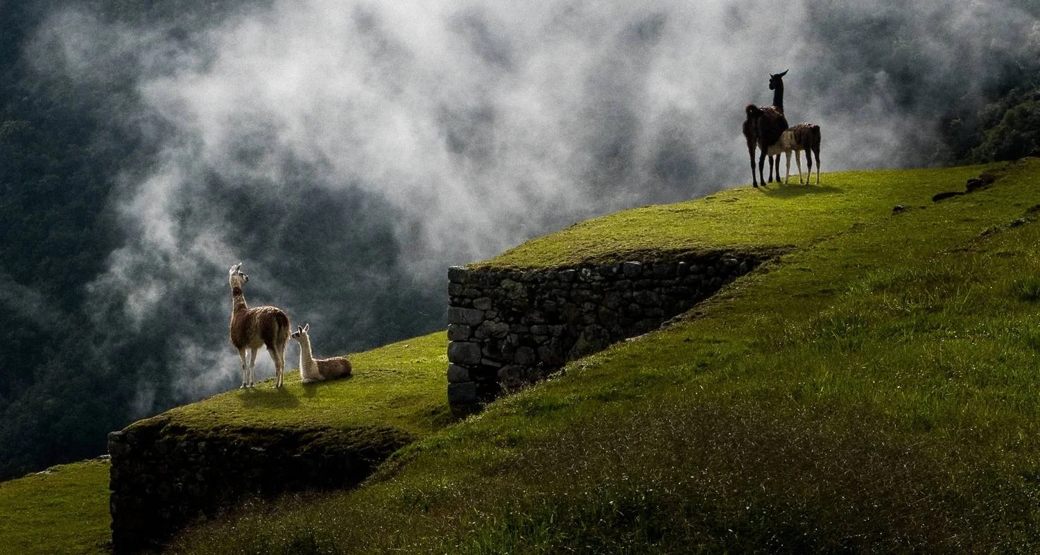 Explore 06 Day Essential Cusco "The Andean Jewels" for 6 days with Inkayni Peru Tours and discover unforgettable experiences - Photo 2