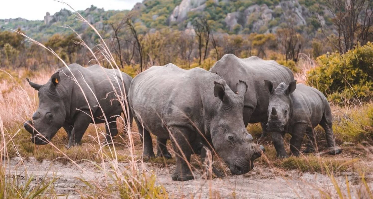 Explore Stone Town to Vic Falls for 16 days with Intrepid Travel and discover unforgettable experiences - Photo 2