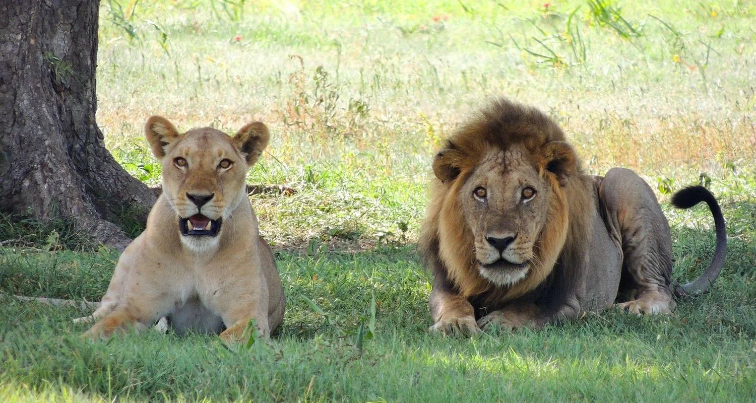 Explore Cape Town to Vic Falls for 22 days with Intrepid Travel and discover unforgettable experiences - Photo 2