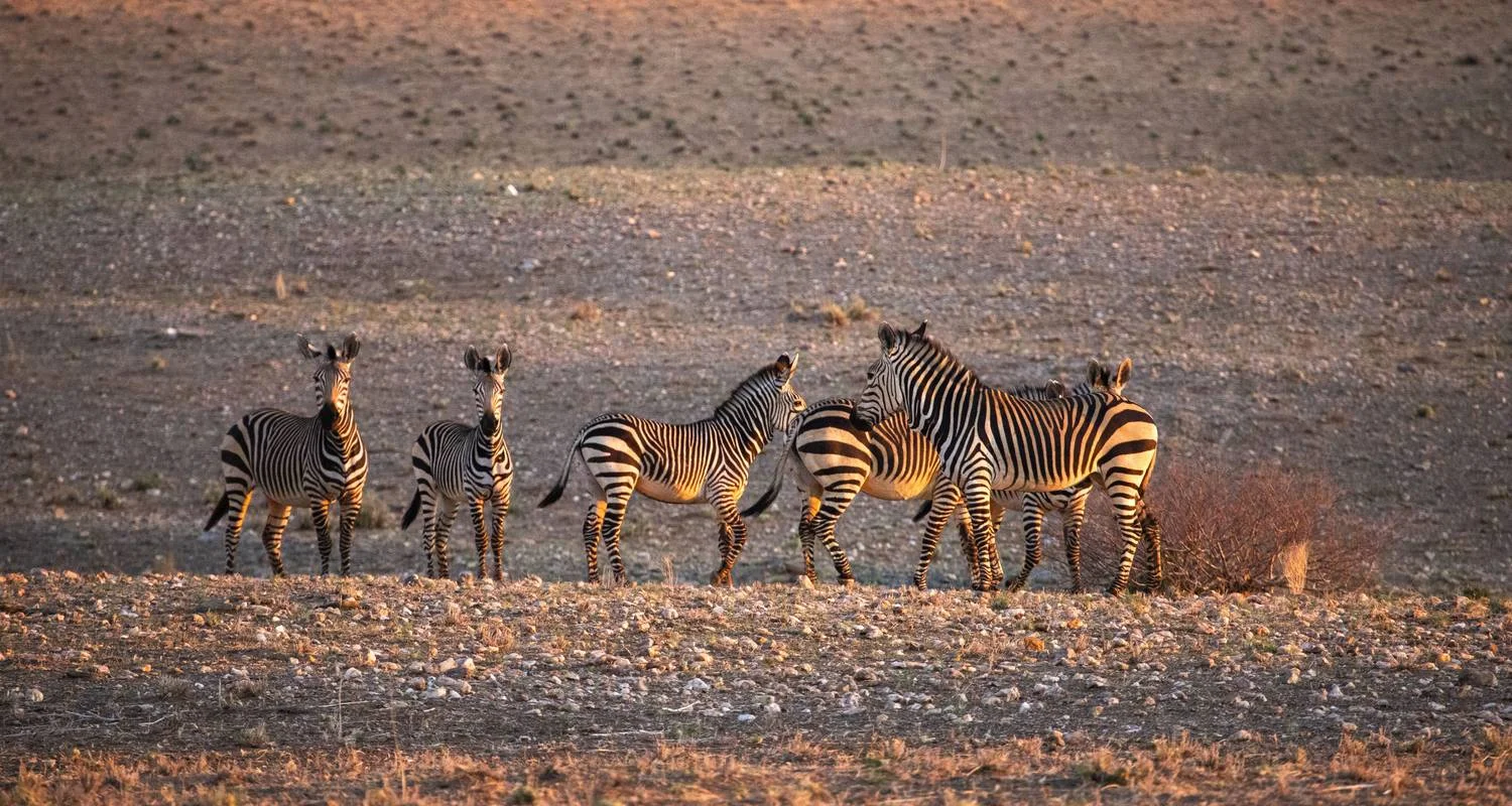 Explore Cape Town to Kenya for 49 days with Intrepid Travel and discover unforgettable experiences - Photo 2