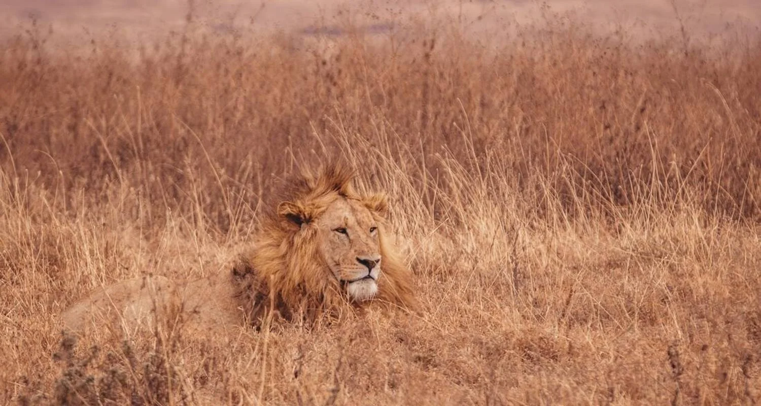 Explore Road to Zanzibar (9 destinations) for 12 days with Intrepid Travel and discover unforgettable experiences - Photo 2