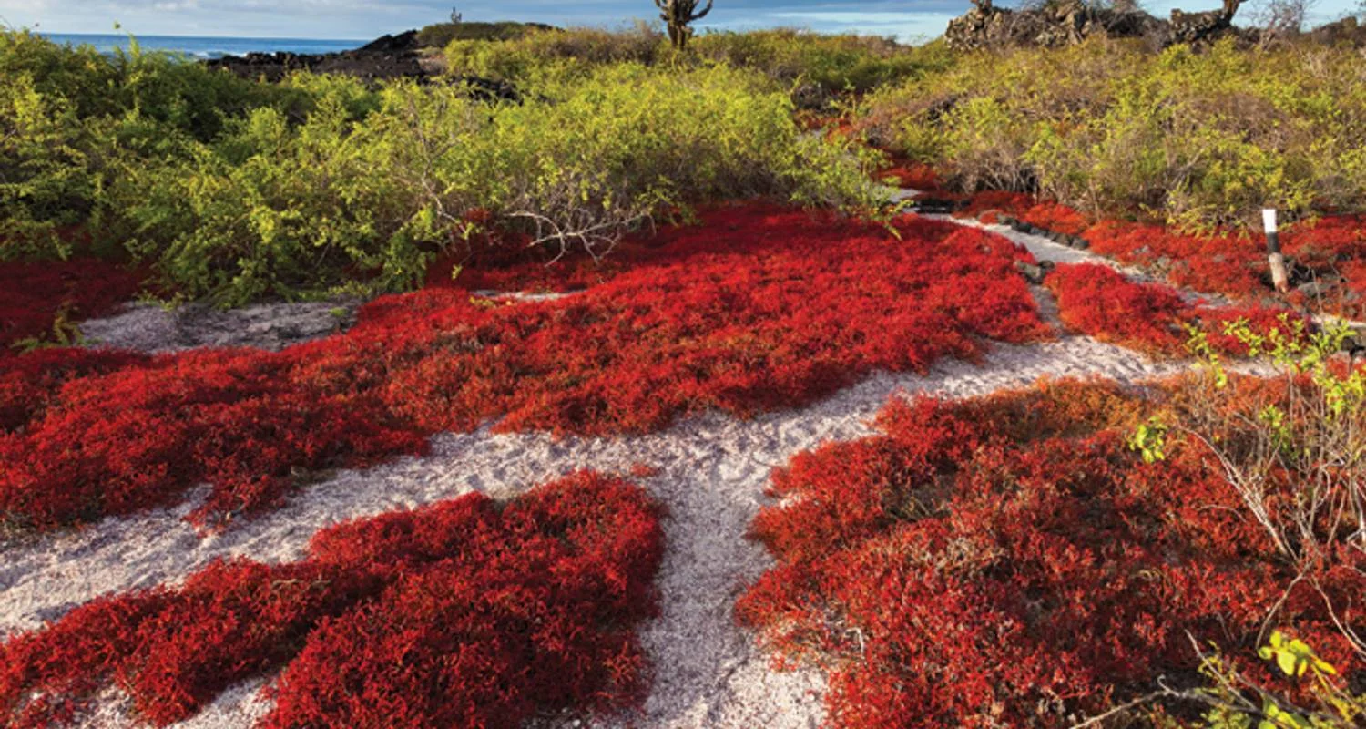 Explore Galapagos at a Glance: Southern Islands (Grand Daphne) for 6 days with Intrepid Travel and discover unforgettable experiences - Photo 2
