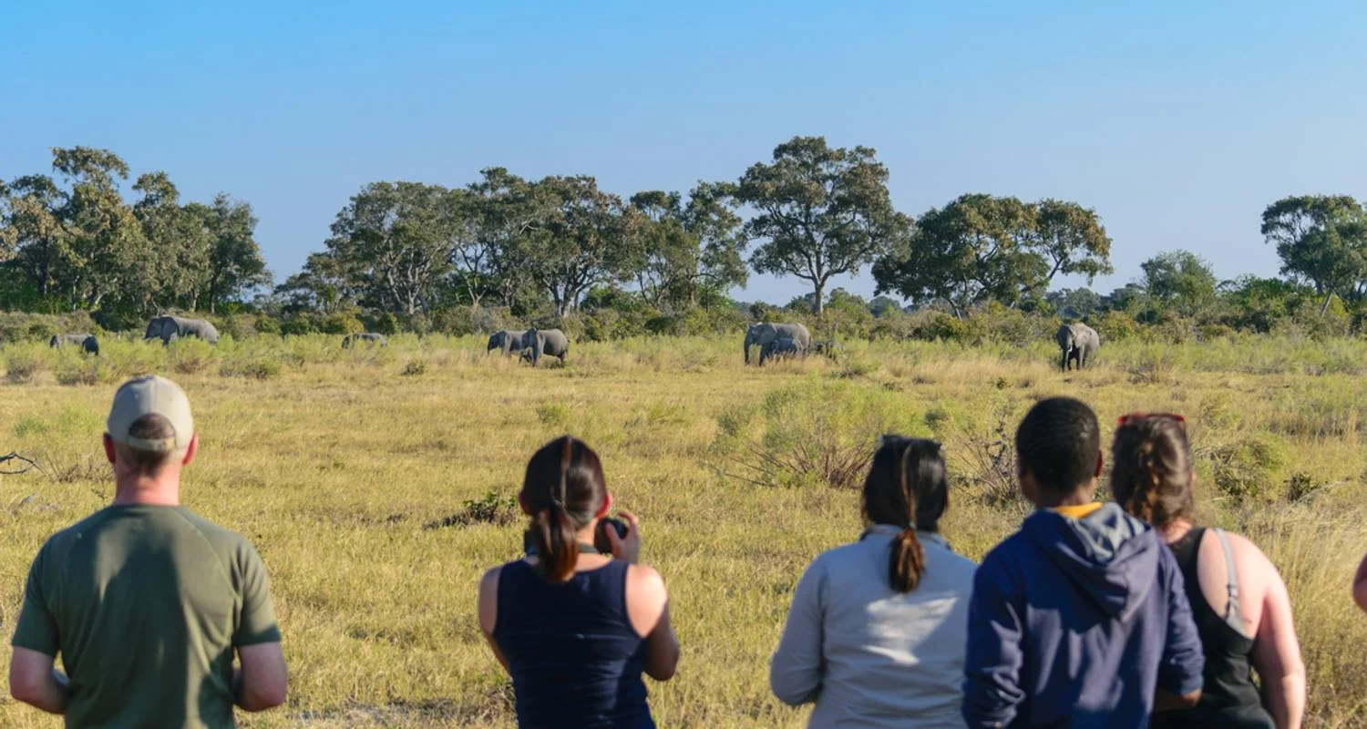 Explore Real Southern Africa (13 destinations) for 17 days with Intrepid Travel and discover unforgettable experiences - Photo 2