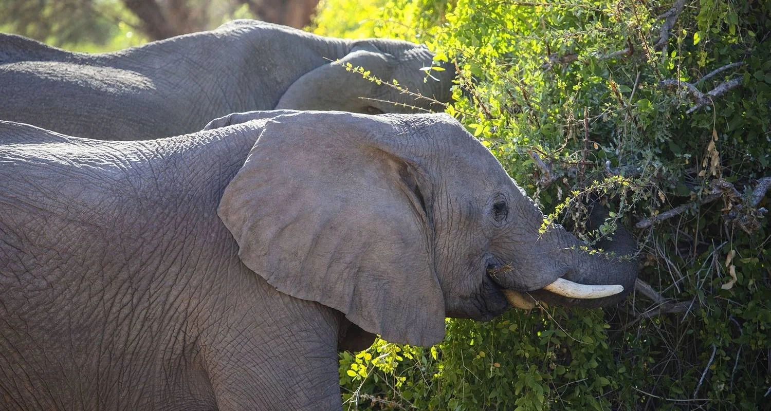 Explore Southern Africa Adventure for 30 days with Intrepid Travel and discover unforgettable experiences - Photo 2