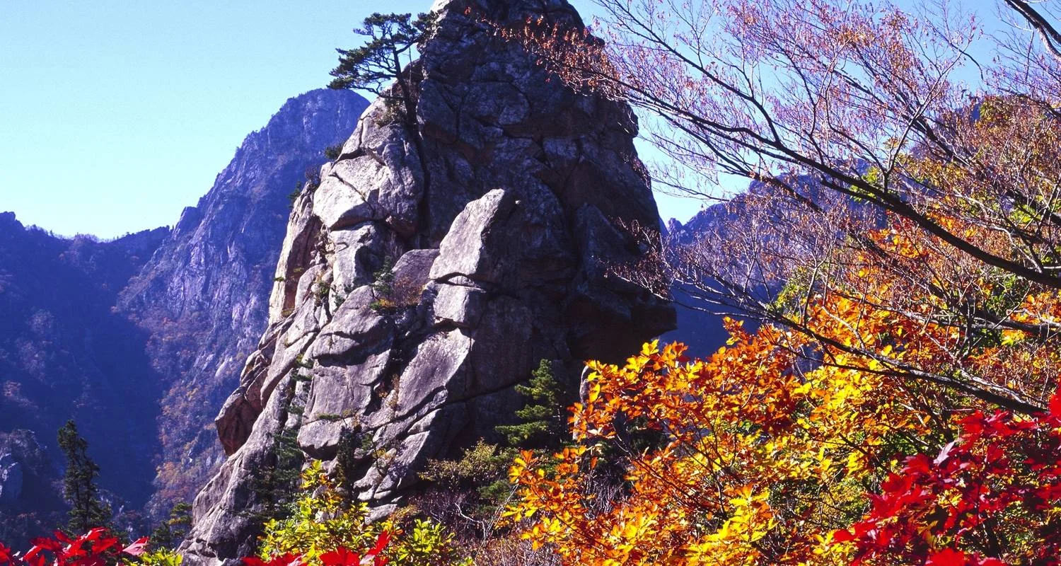 Explore Spectacular South Korea - 12 days for 12 days with On The Go Tours and discover unforgettable experiences - Photo 2
