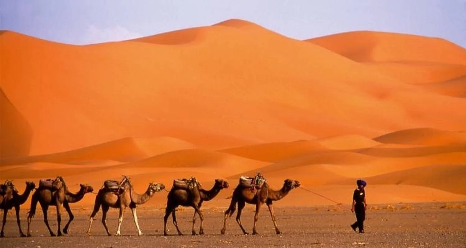 Explore Imperial Cities & Deserts - 10 days for 10 days with On The Go Tours and discover unforgettable experiences - Photo 2