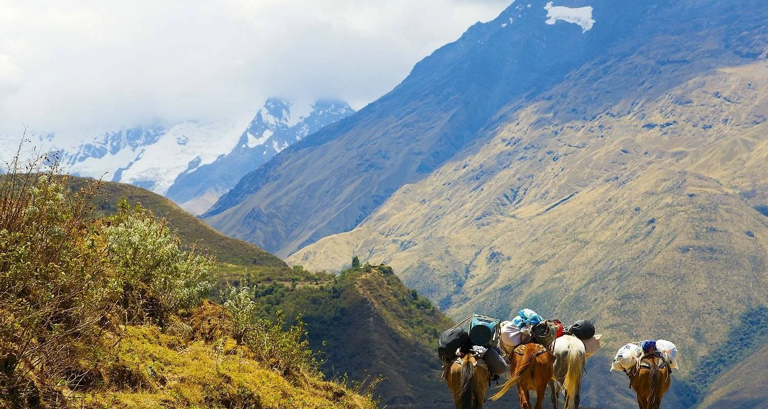 Explore 5 days - Salkantay Trek to Machu Picchu for 5 days with PVTravels and discover unforgettable experiences - Photo 2
