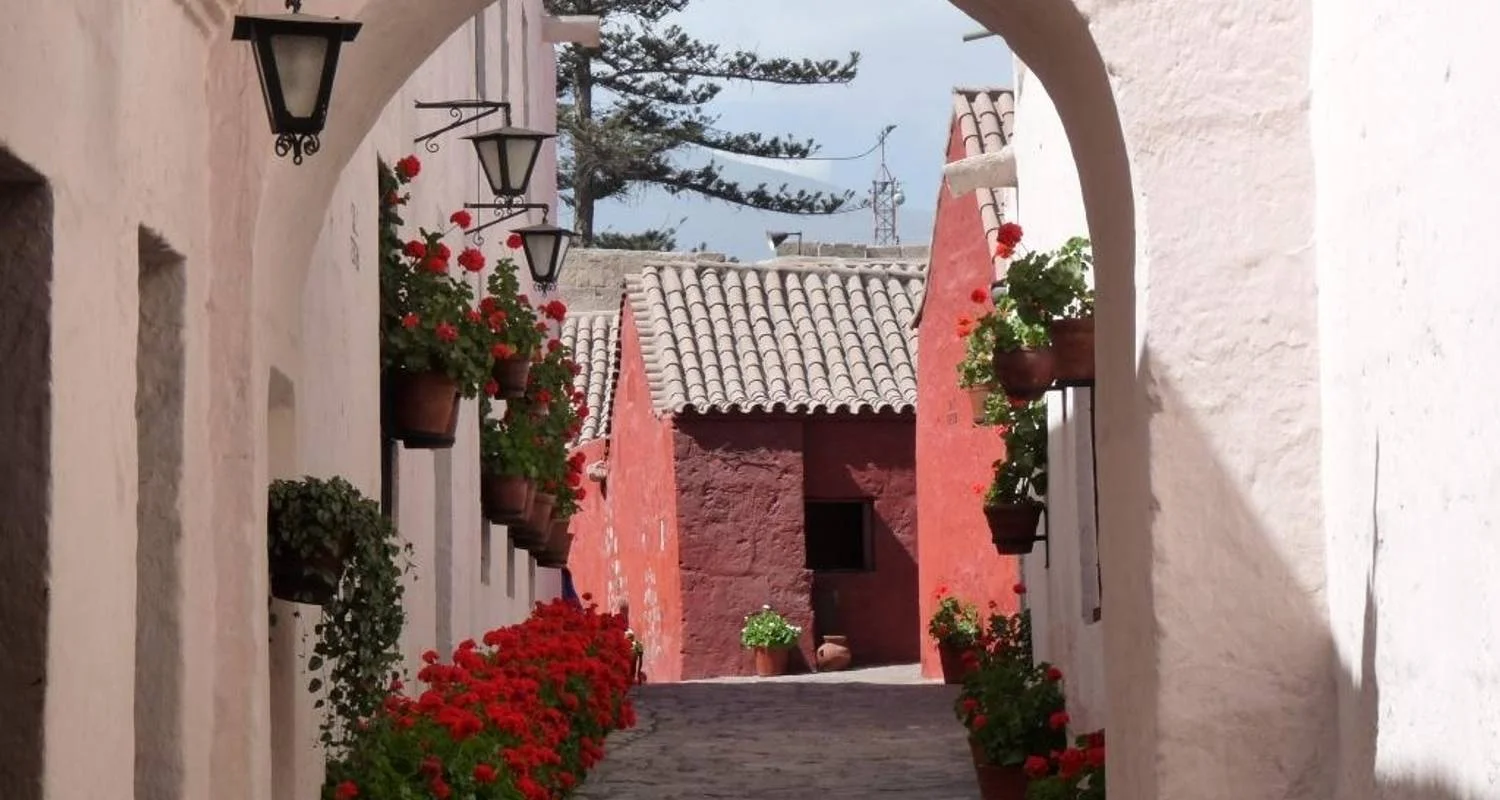 Explore 8 days -Central-Southeast :. Lima - Paracas - Ica - Arequipa for 8 days with PVTravels and discover unforgettable experiences - Photo 2