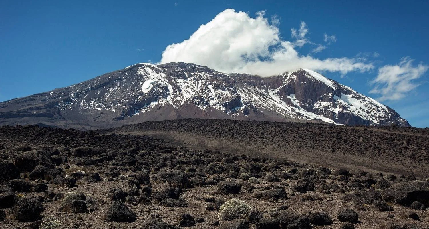 Explore 7 Days Mount Kilimanjaro Climb  - Machame Route for 7 days with Pam Tours and Travel  and discover unforgettable experiences - Photo 4