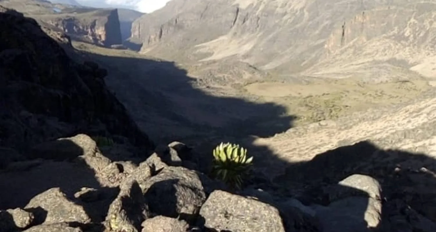 Explore 5 Days Mount Kenya Safari Trekking in Sirimon Route for 5 days with Pam Tours and Travel  and discover unforgettable experiences - Photo 2