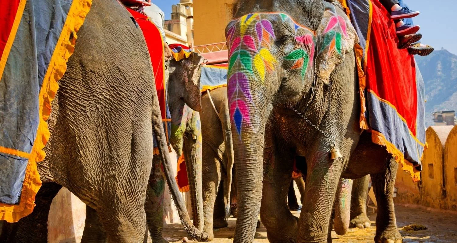 Explore Rajasthan with Varanasi Tour for 18 days with Panda Experiences and discover unforgettable experiences - Photo 2