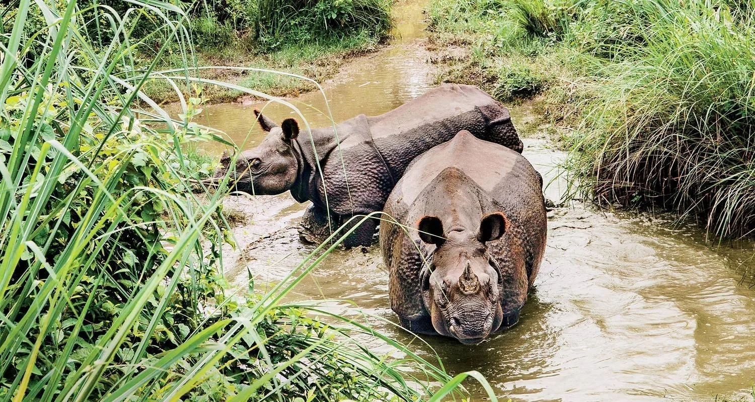 Explore Nepal Escapade Culture and Wilderness for 12 days with Passage Holidays and discover unforgettable experiences - Photo 2