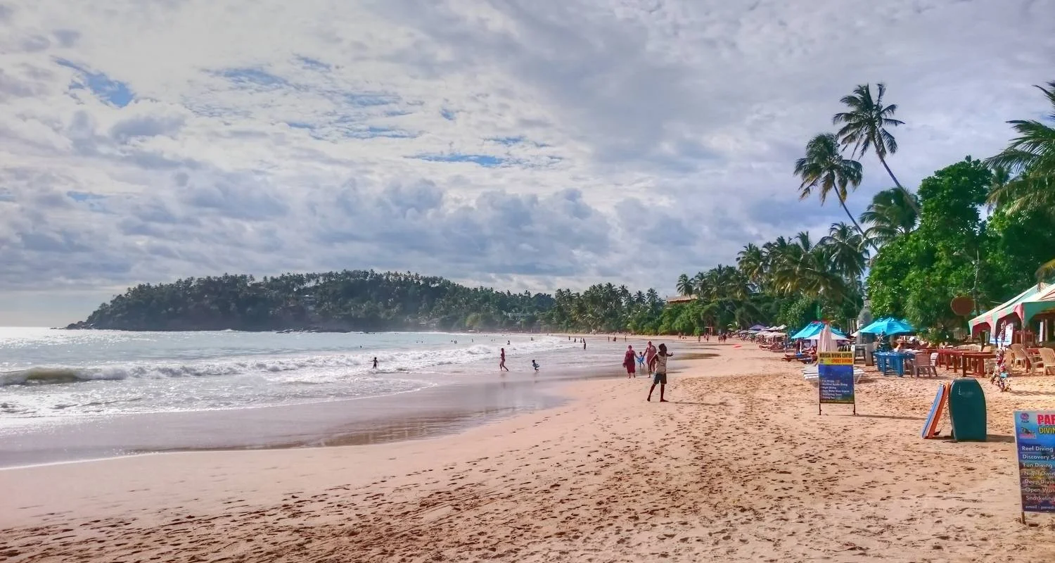 Explore Sri Lanka Wildlife for 11 days with Passage Holidays and discover unforgettable experiences - Photo 2