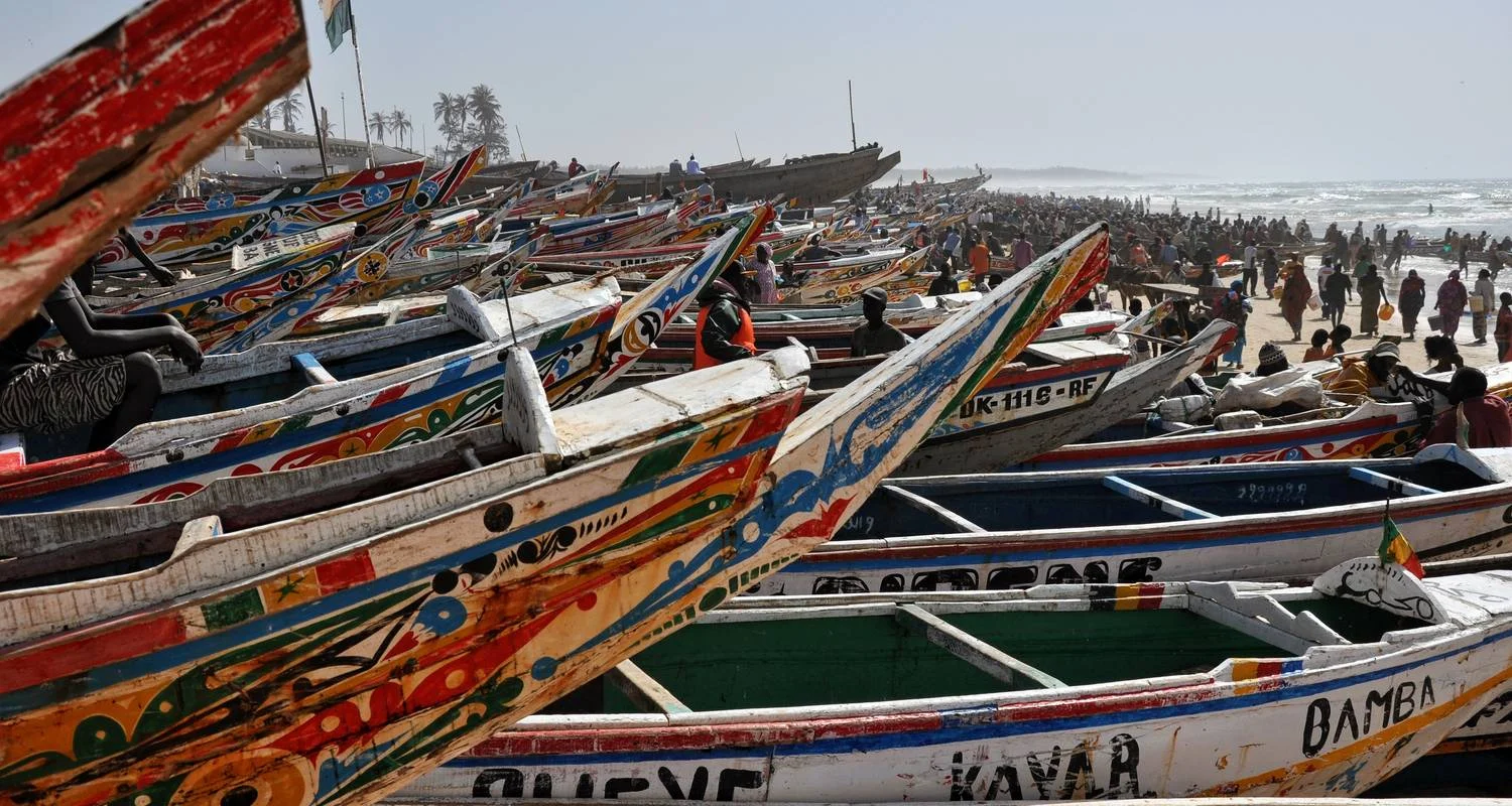 Explore Senegal and The Gambia: A Cultural and Wildlife Odyssey for 10 days with Penguin Travel and discover unforgettable experiences - Photo 2