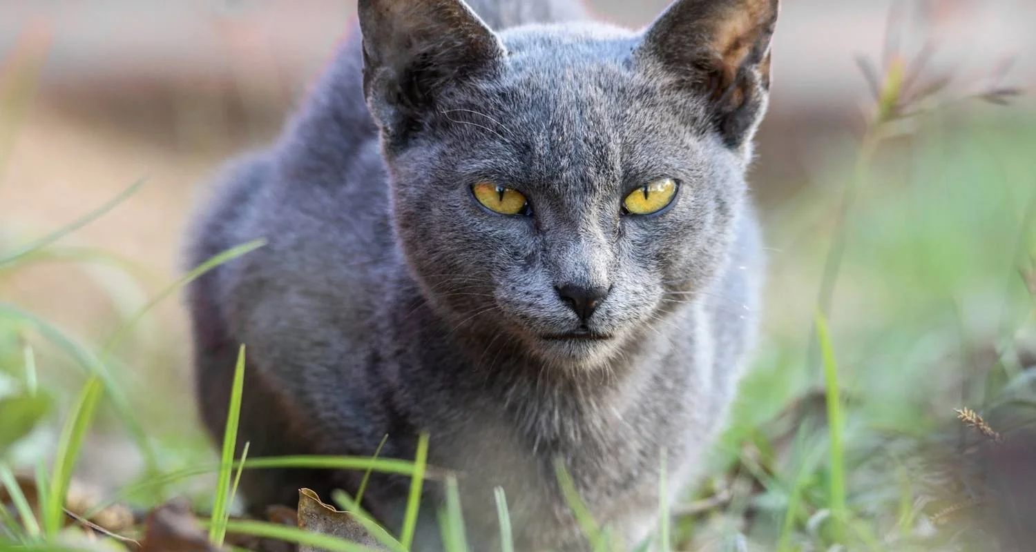 Explore Nepal and Bhutan Tour for 12 days with Peregrine Treks and Expedition Pvt Ltd and discover unforgettable experiences - Photo 2