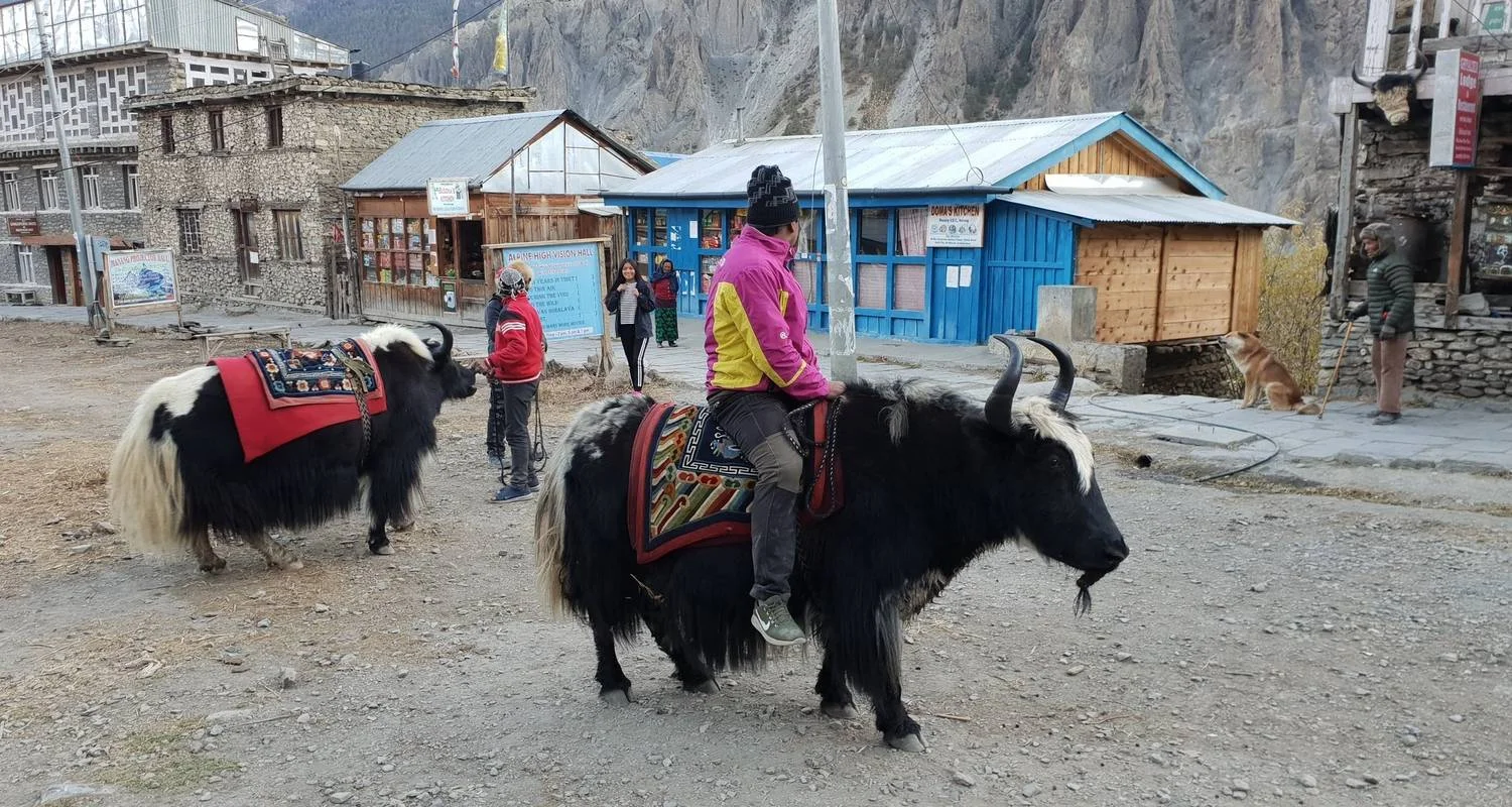 Explore Annapurna Circuit and Tilicho Lake Trek for 17 days with Peregrine Treks and Expedition Pvt Ltd and discover unforgettable experiences - Photo 2