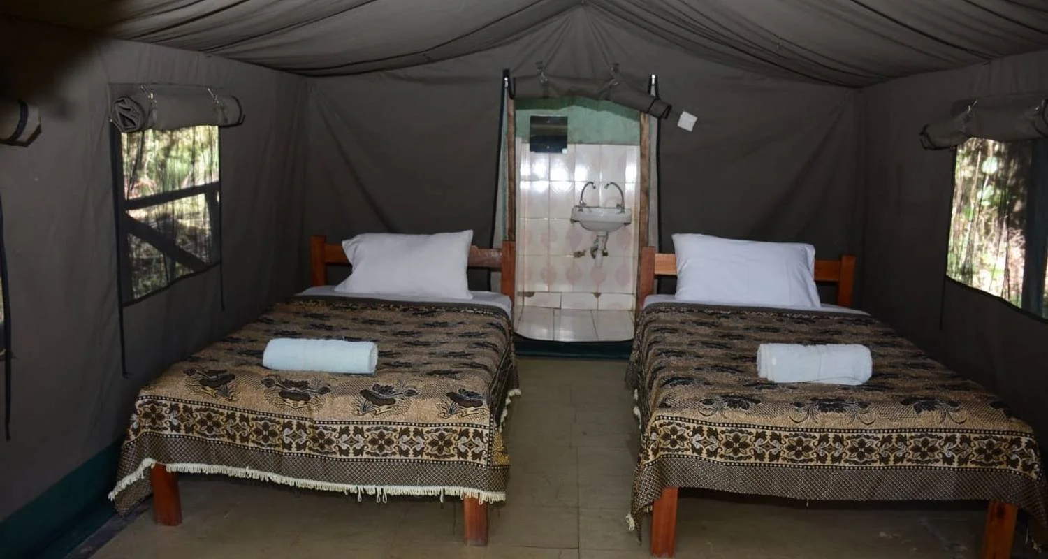 Explore 5 Days, 4 Nights Kenya And Tanzania Private Budget Camping Safari Package with Complimentary Airport Pickup. for 5 days with Perfect Wilderness Tours And Safaris and discover unforgettable experiences - Photo 2