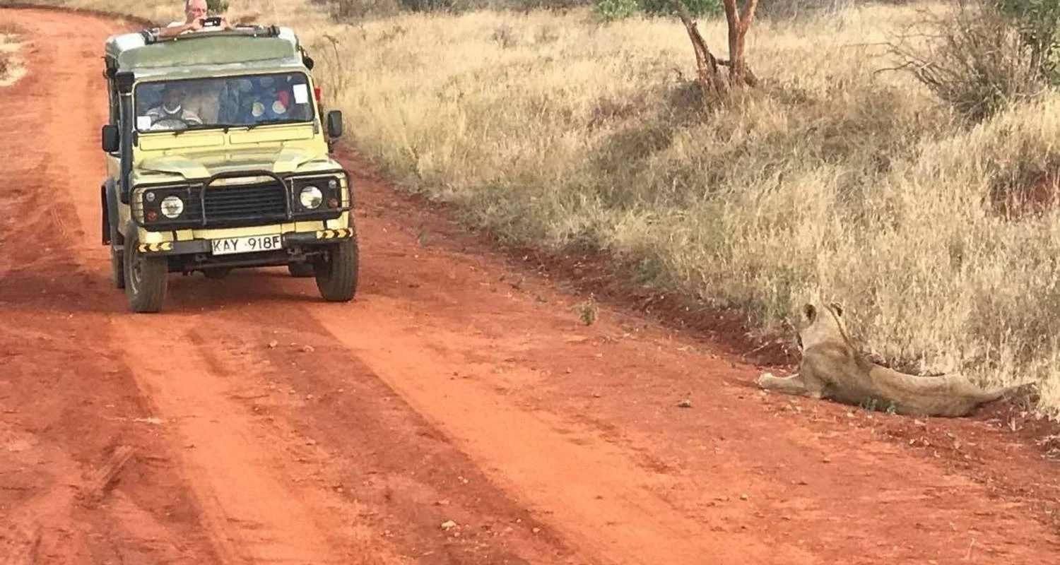 Explore Private 3-Day Tsavo Safari from Mombasa for 3 days with Perfect Wilderness Tours And Safaris and discover unforgettable experiences - Photo 2