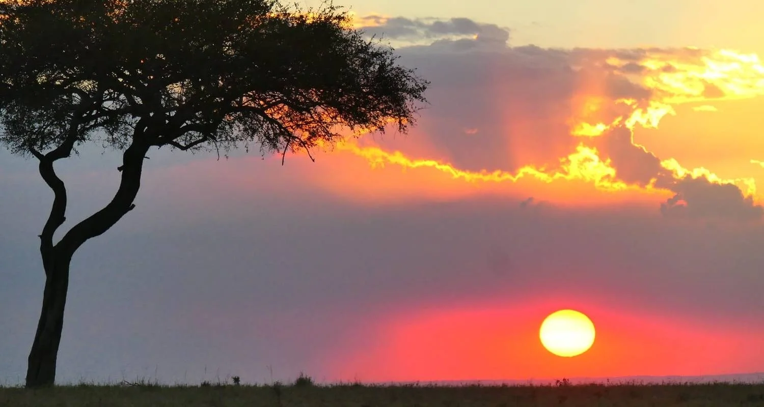 Explore Overnight safari to Tsavo East from Diani for 2 days with Perfect Wilderness Tours And Safaris and discover unforgettable experiences - Photo 2