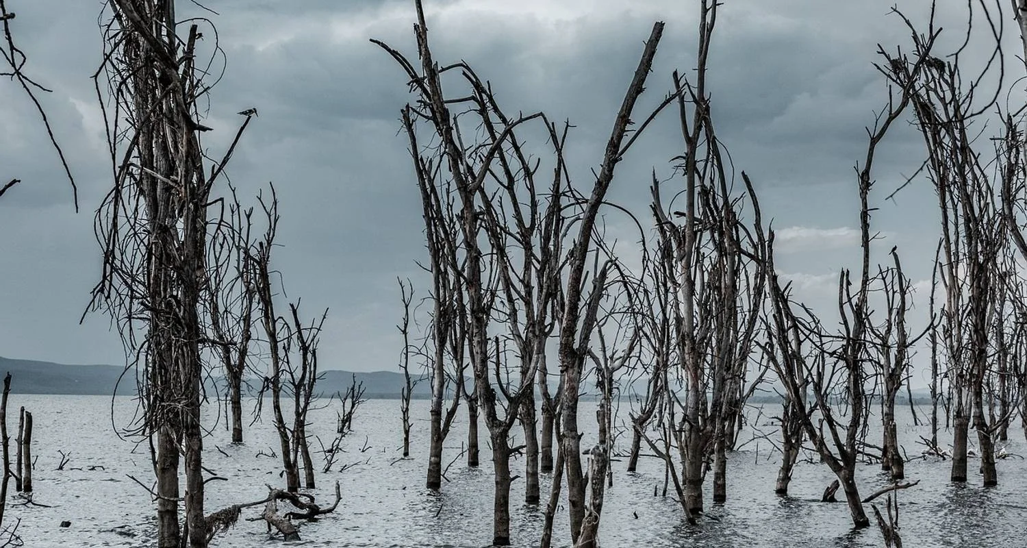 Explore 12-Day Kenya And Tanzania Private Lodge Safari From Nairobi with complimentary first night accommodation at Best Western plus Westlands Nairobi Hotel and free airport transfer. for 12 days with Perfect Safari Africa tours and safaris and discover unforgettable experiences - Photo 2