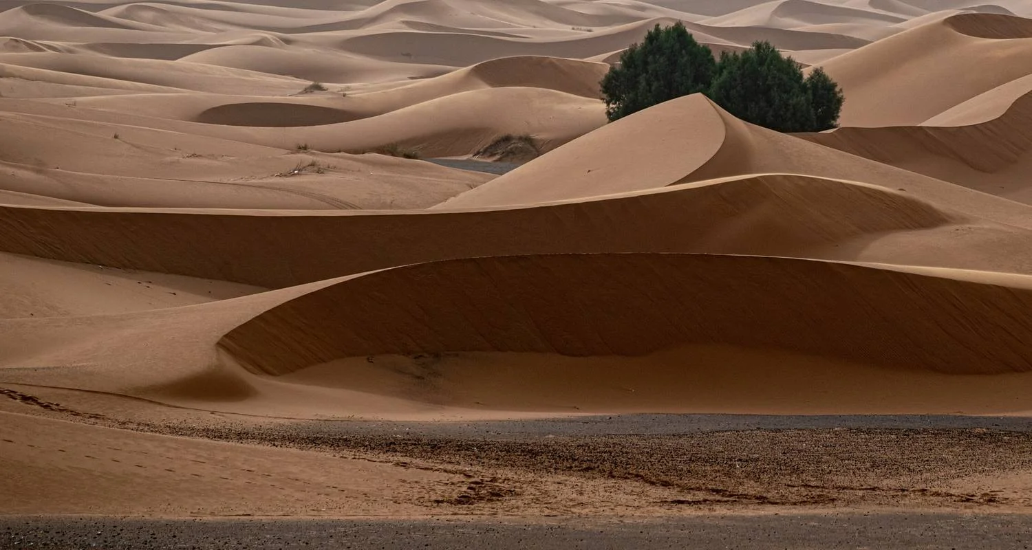 Explore 4 days desert  adventure for 4 days with Perfectly Morocco Tours and discover unforgettable experiences - Photo 2