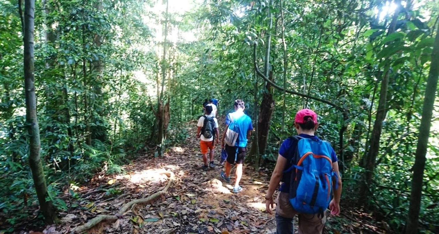 Explore 3D2N Orangutan in Tanjung Puting with Overnight on the Boat for 3 days with Pesona Indo and discover unforgettable experiences - Photo 2