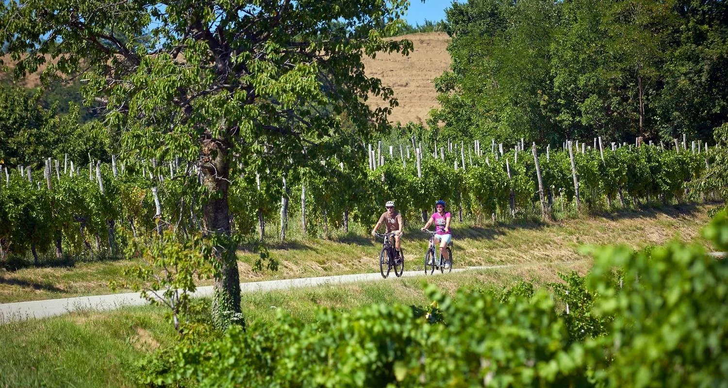 Explore Alpe Adria Trail on the bike, Self Guided for 6 days with Positive sport and discover unforgettable experiences - Photo 2