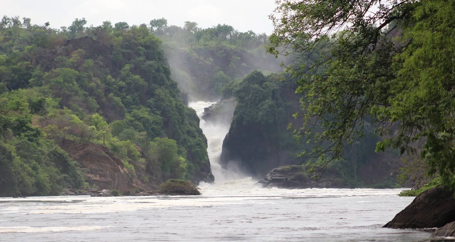 Explore Eastern Uganda Safari Trail for 12 days with Primate World Safaris (U) Ltd and discover unforgettable experiences - Photo 2