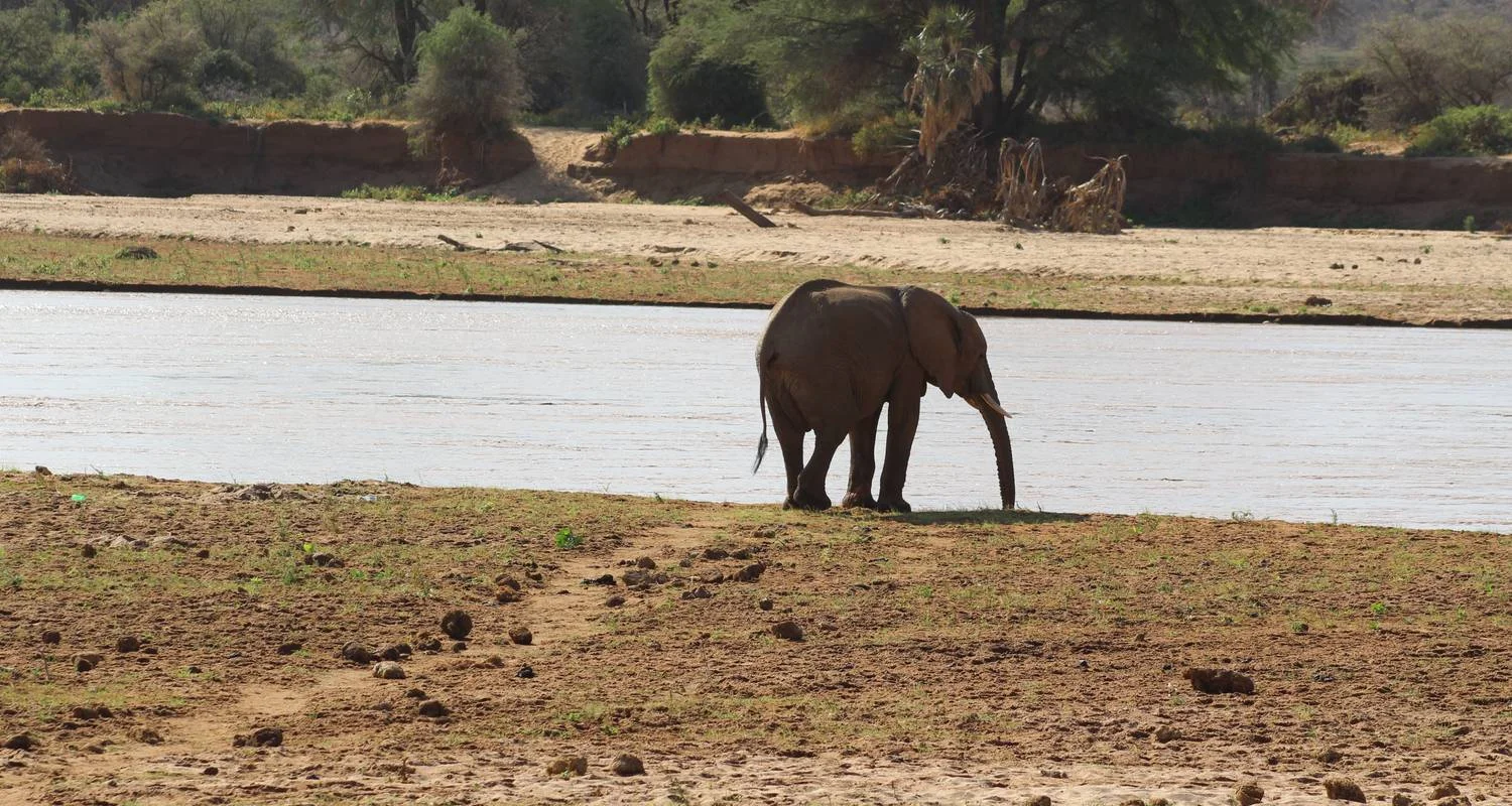 Explore 4 days Samburu Express Safari in Kenya for 4 days with Primate World Safaris (U) Ltd and discover unforgettable experiences - Photo 2