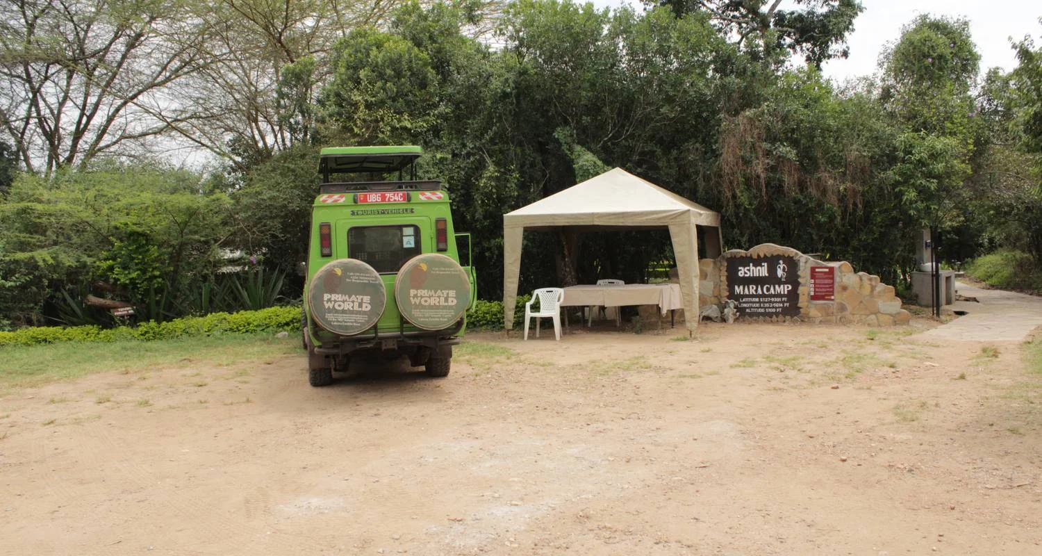 Explore 4 days Masai Mara Luxury Wildlife Safari for 4 days with Primate World Safaris (U) Ltd and discover unforgettable experiences - Photo 2