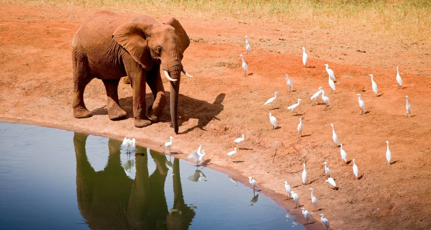 Explore Scenic Kenya Safari for 9 days with Prime Safaris and discover unforgettable experiences - Photo 2