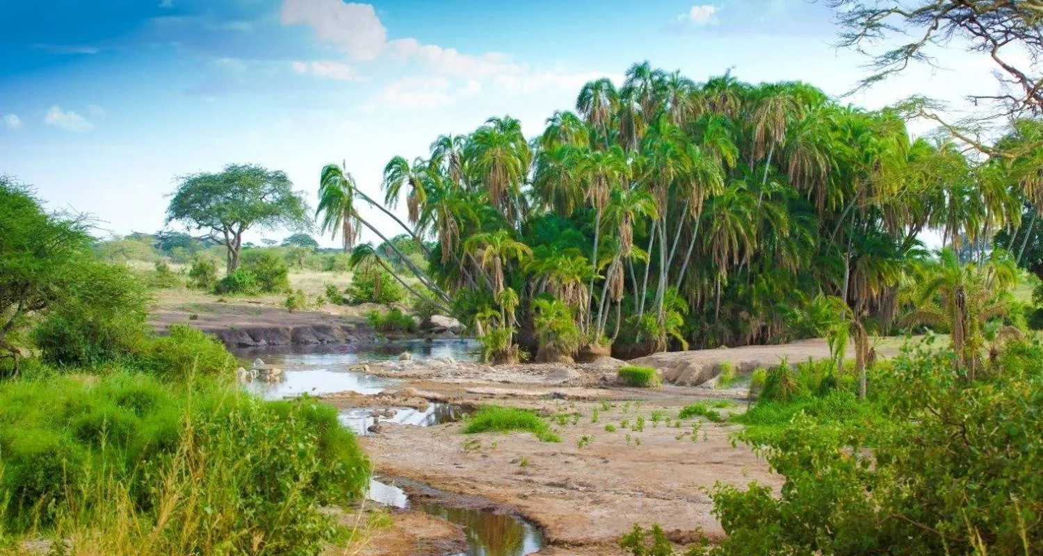 Explore Simba Safari, Serena Lodges - Private Tour for 8 days with Prime Safaris and discover unforgettable experiences - Photo 2