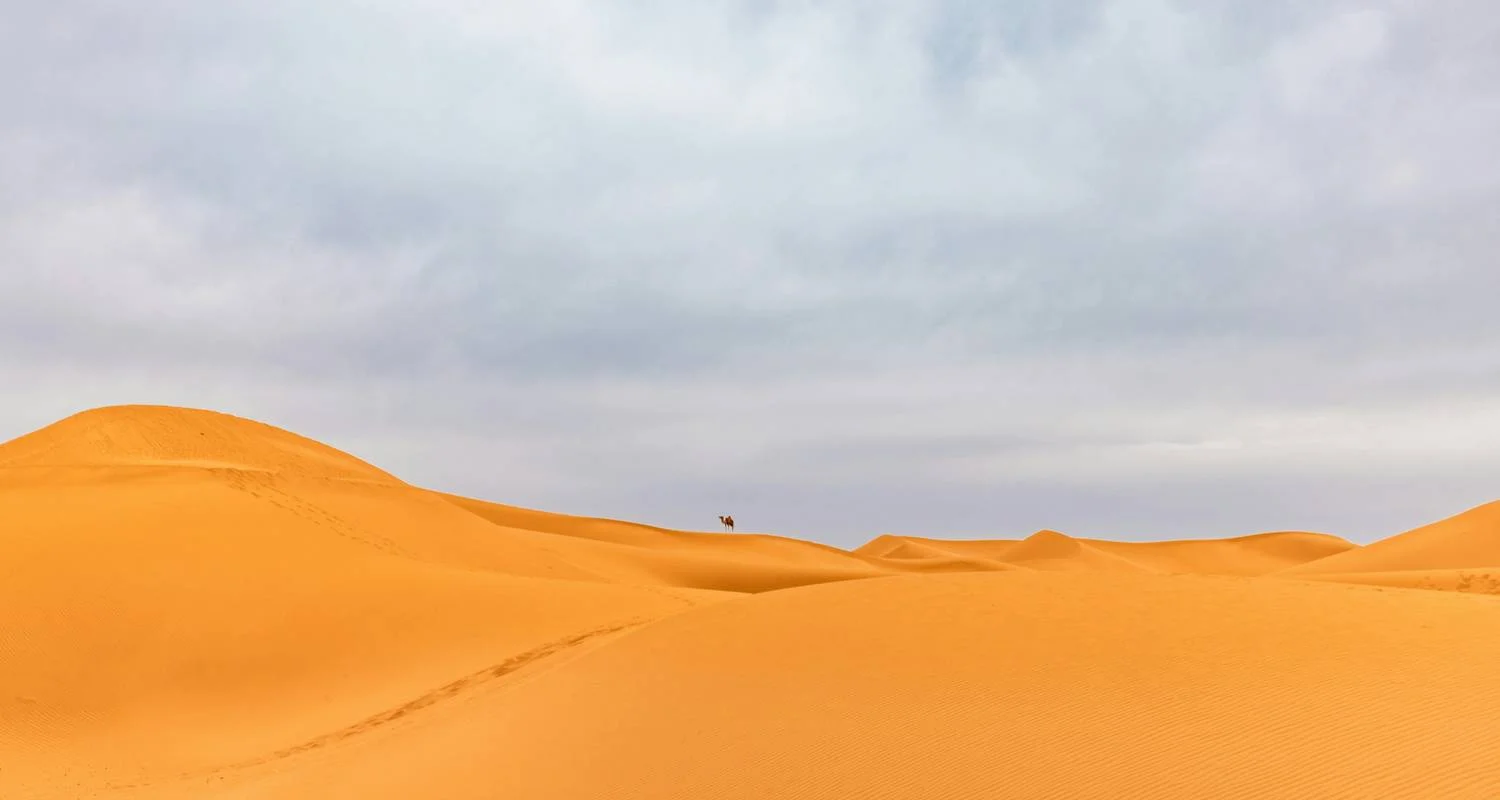 Explore Private Morocco Tours Dades Gorges, Draa Valley, Night Desert Camp for 5 days with Private Desert Tours and discover unforgettable experiences - Photo 2