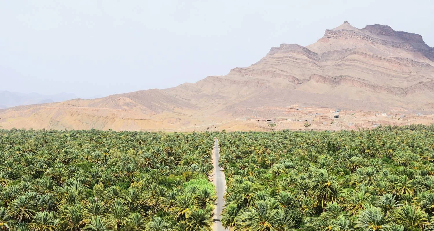 Explore Tour Atlantic Coast, Saharan Dunes, High Atlas Mountains , Desert Morocco for 7 days with Private Desert Tours and discover unforgettable experiences - Photo 2