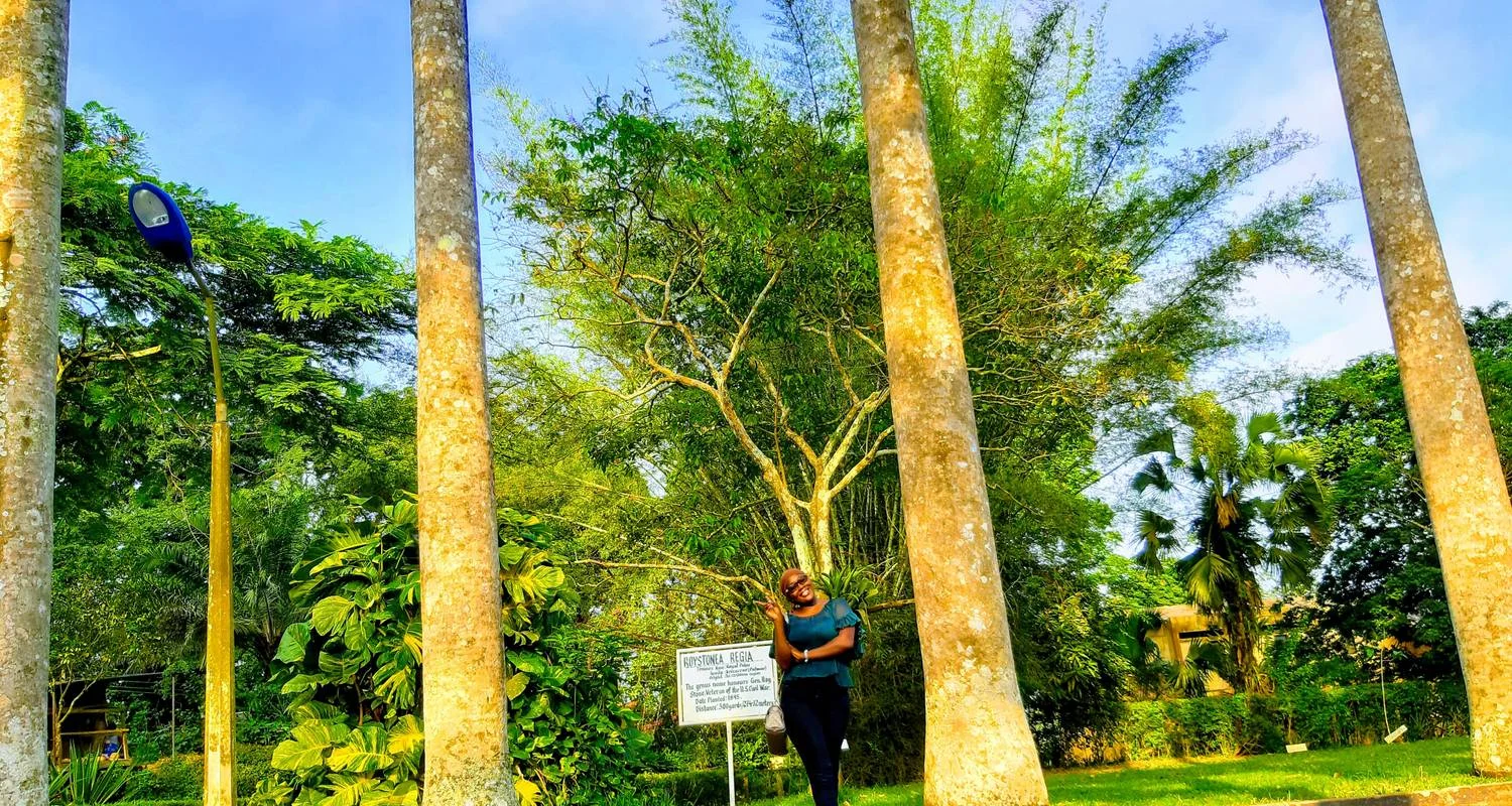 Explore Adventure Tours for 3 days with Pro Tour Africa and discover unforgettable experiences - Photo 2