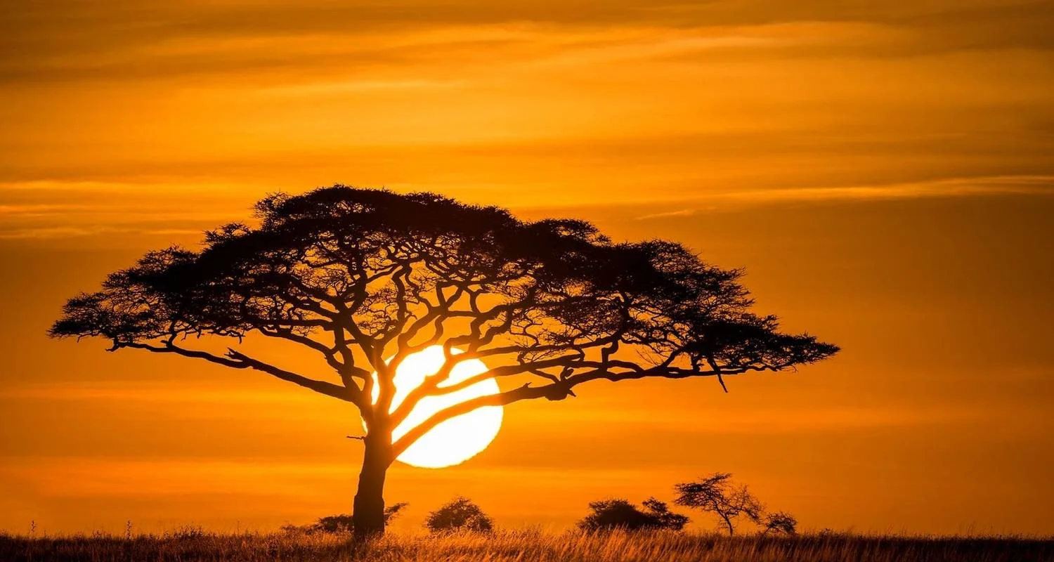 Explore Kenya & Tanzania: Ultimate Luxury Safari Adventure for 6 days with Professional Safari Africa and discover unforgettable experiences - Photo 2