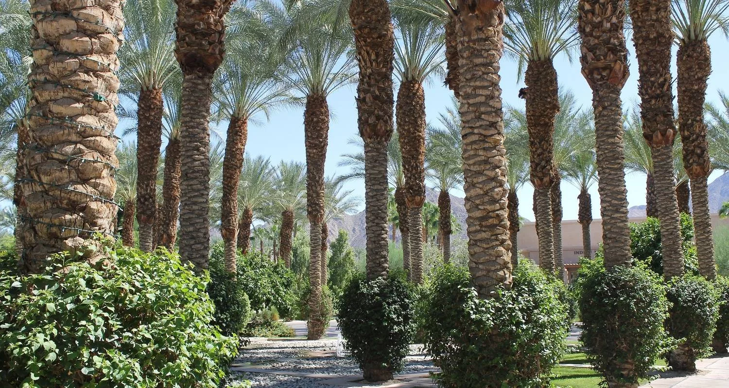 Explore 5 days Casablanca & Marrakech Tour for 5 days with PureMorocco and discover unforgettable experiences - Photo 2