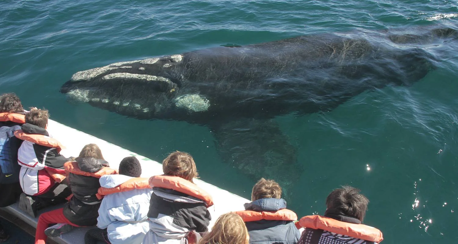 Explore 25 Days - Argentina Grand Tour for 25 days with Qwerty Travel Argentina and discover unforgettable experiences - Photo 2