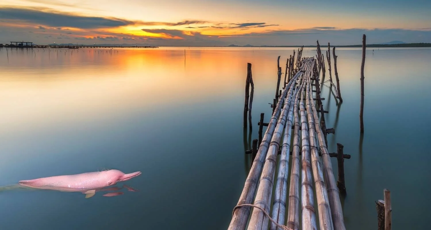 Explore 4 Days Amazon Lodge Cuyabeno Reserve for 4 days with Responsible Travel South America and discover unforgettable experiences - Photo 2
