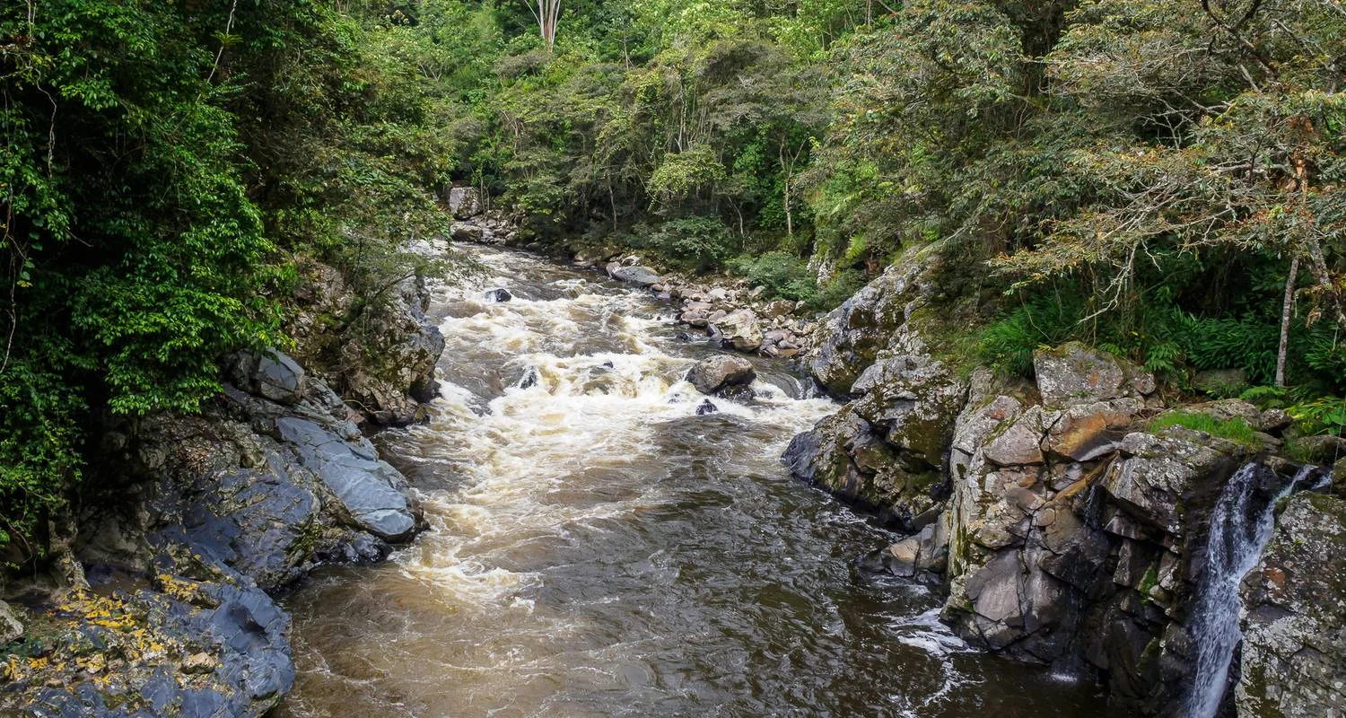 Explore 8 Days From Ruins to Roast: The Colombian Way for 8 days with Responsible Travel South America and discover unforgettable experiences - Photo 2