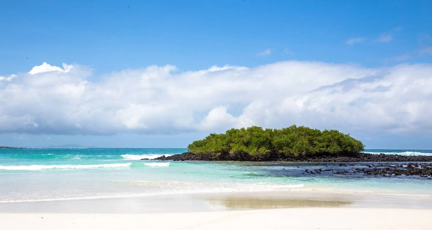 Explore 8 Days Galapagos Island Hopping Tour (San Cristobal - Santa Cruz - Isabela) for 8 days with Responsible Travel South America and discover unforgettable experiences - Photo 2