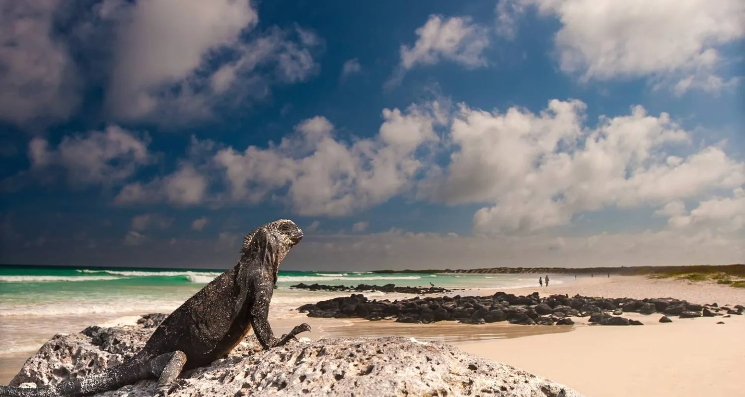 Explore 8 Days Galapagos Island Hopping in Santa Cruz and Isabela for 8 days with Responsible Travel South America and discover unforgettable experiences - Photo 2
