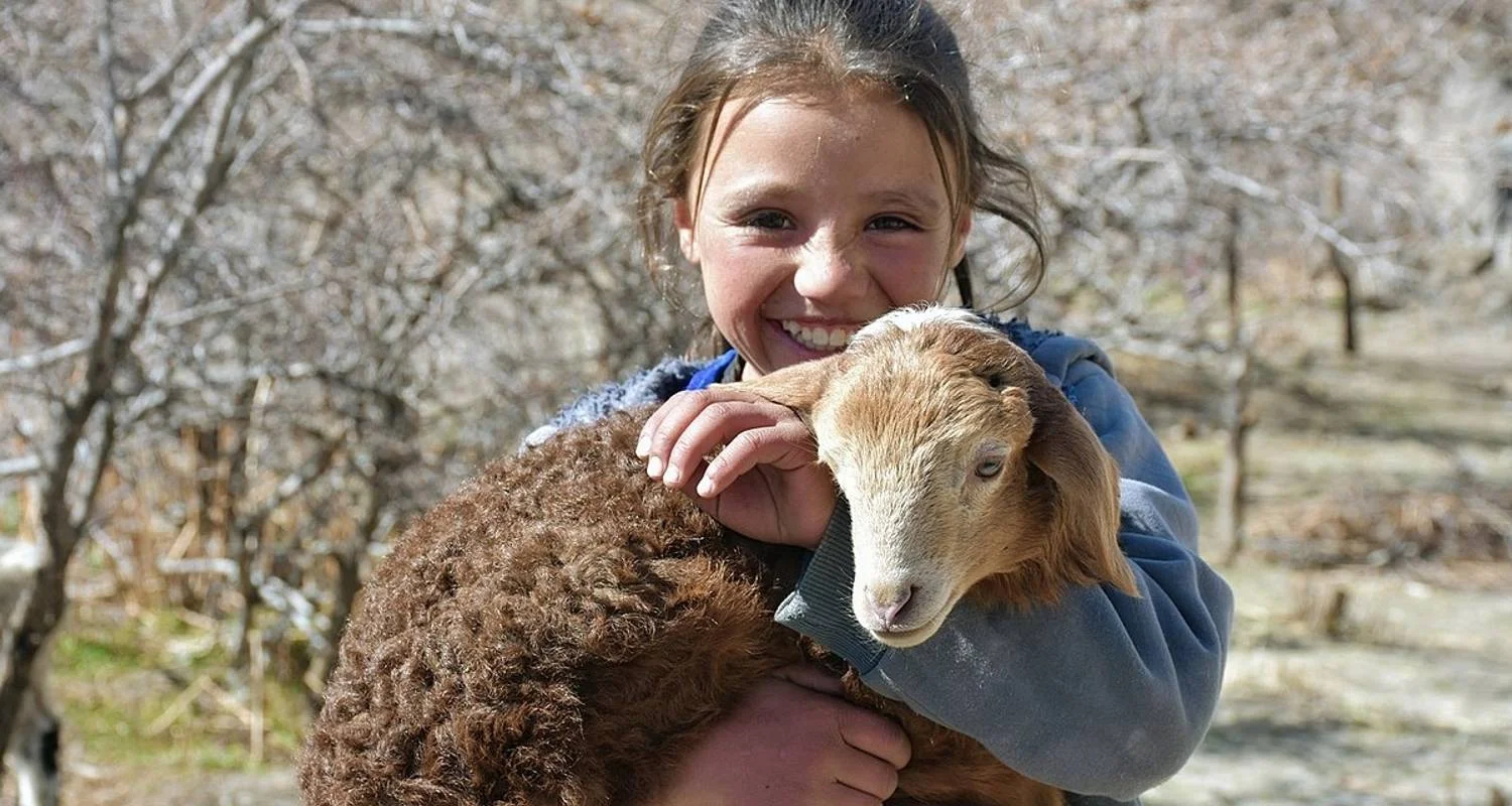 Explore 07 Days Cultural trip Lahore, Swat, Peshawar Valley Pakistan for 7 days with Rock Valley Tours Pvt Ltd and discover unforgettable experiences - Photo 7