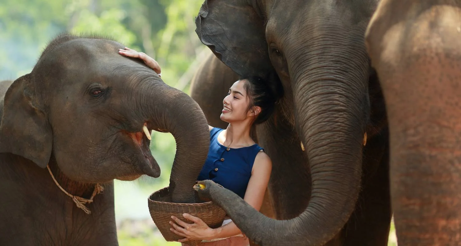 Explore 15 Days Vietnam and Thailand off The Beaten Track  (private guide & driver） for 15 days with UME Travel Co. Ltd and discover unforgettable experiences - Photo 2