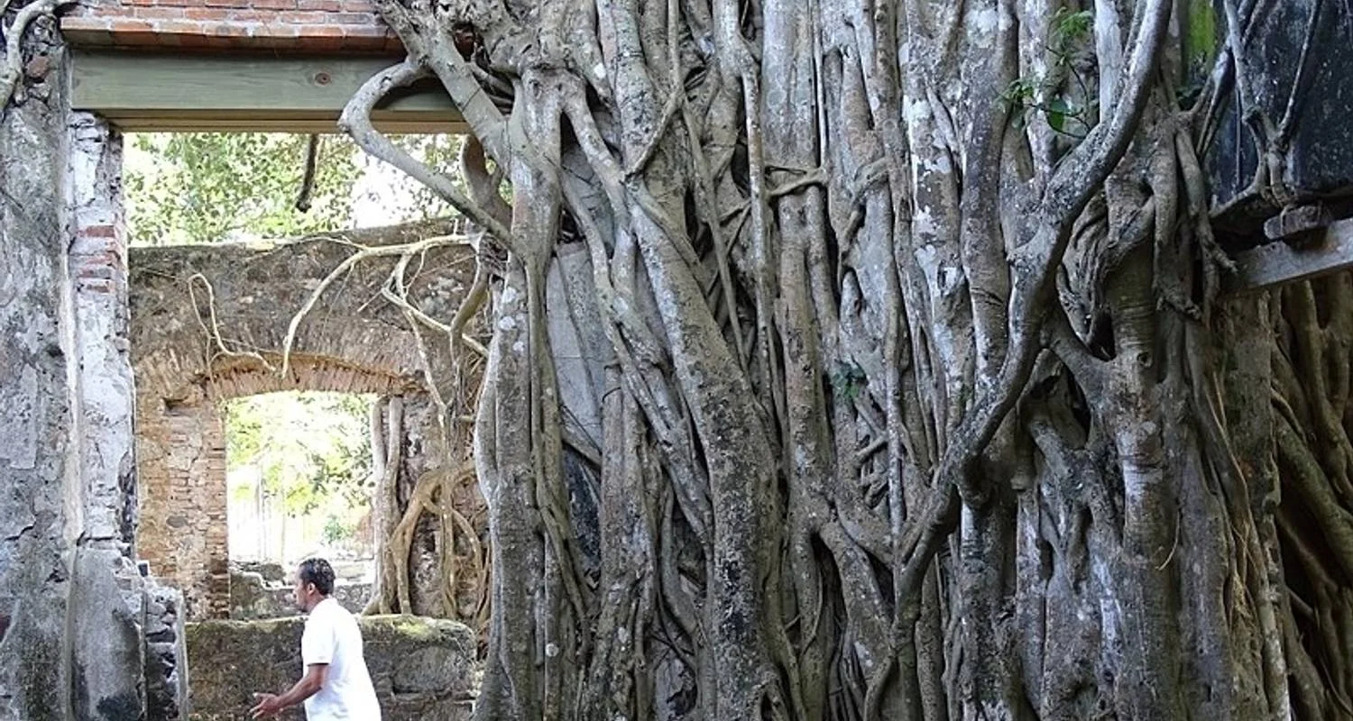 Explore Veracruz Tour: Travel Mountains, Enchanting Cascades and Know the Coast Culture for 15 days with Vibe Adventures and discover unforgettable experiences - Photo 2