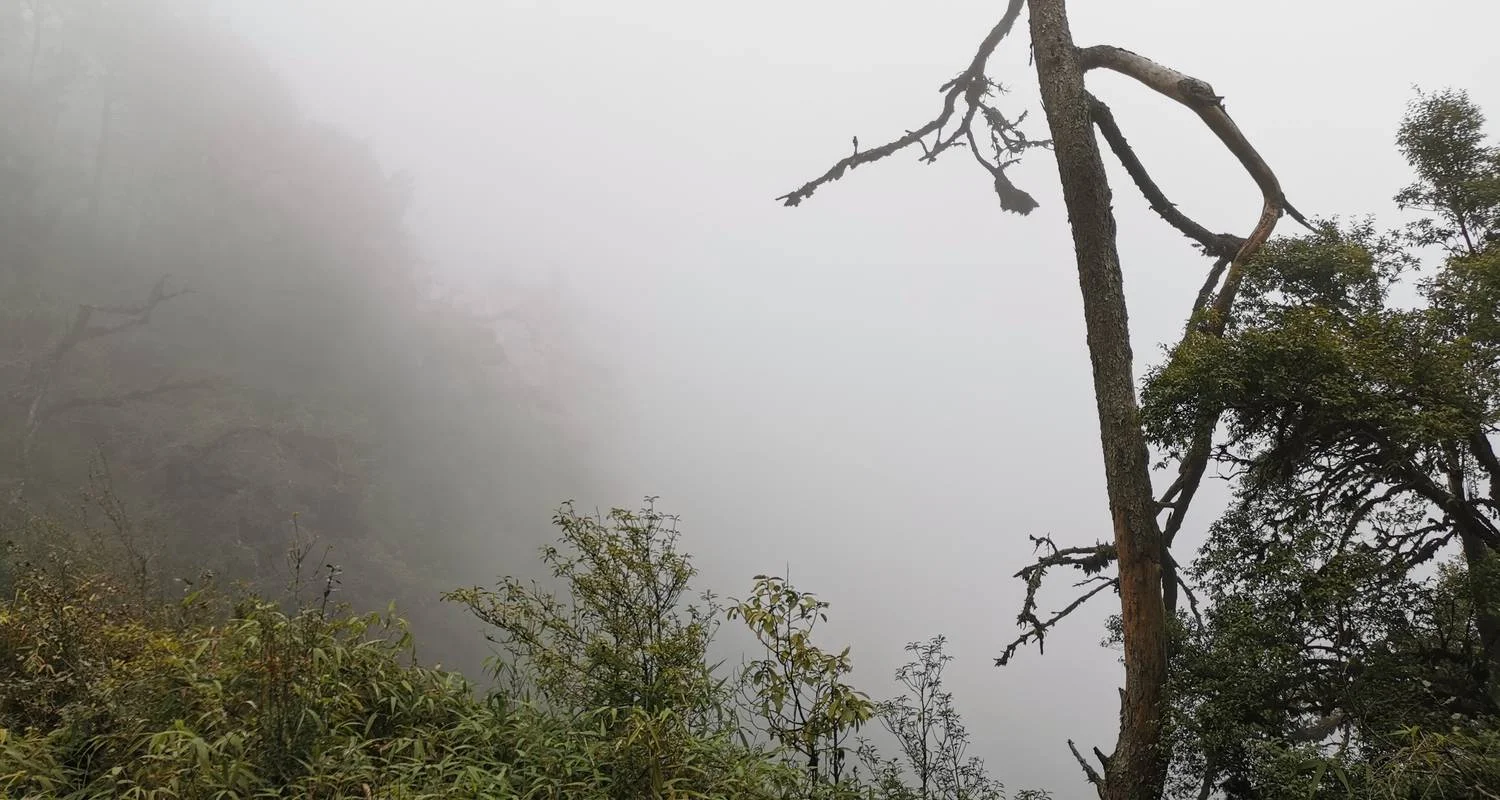 Explore Gulf of Mexico Tour: a Journey Across Sierra Madre Oriental Cities for 8 days with Vibe Adventures and discover unforgettable experiences - Photo 2