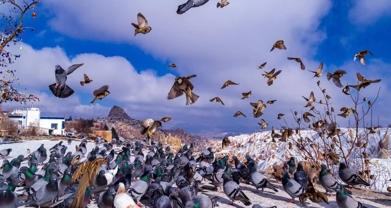 Explore 12 Days Turkish Delight for 12 days with Wonderful Holidays UK and discover unforgettable experiences - Photo 2