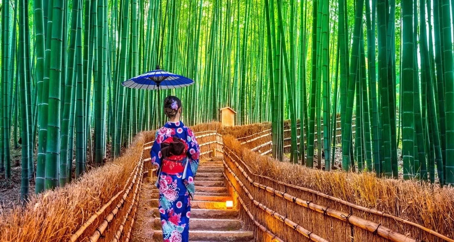 Explore A Classic 11 Day Japan Holiday for 11 days with Wonderful Holidays UK and discover unforgettable experiences - Photo 2