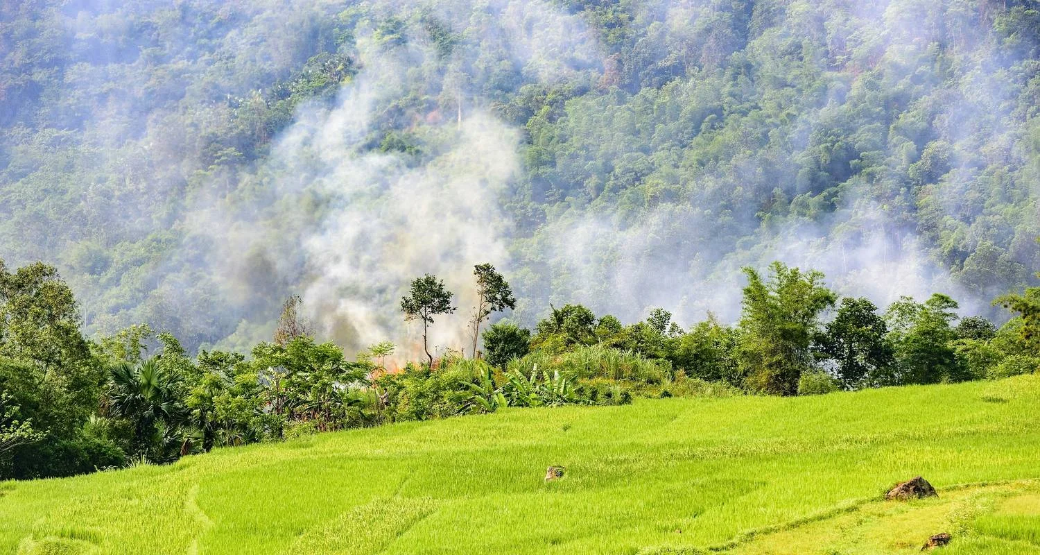 Explore Active and at Leisure Through the Mai - Chau Valley for 4 days with Gebeco and discover unforgettable experiences - Photo 2